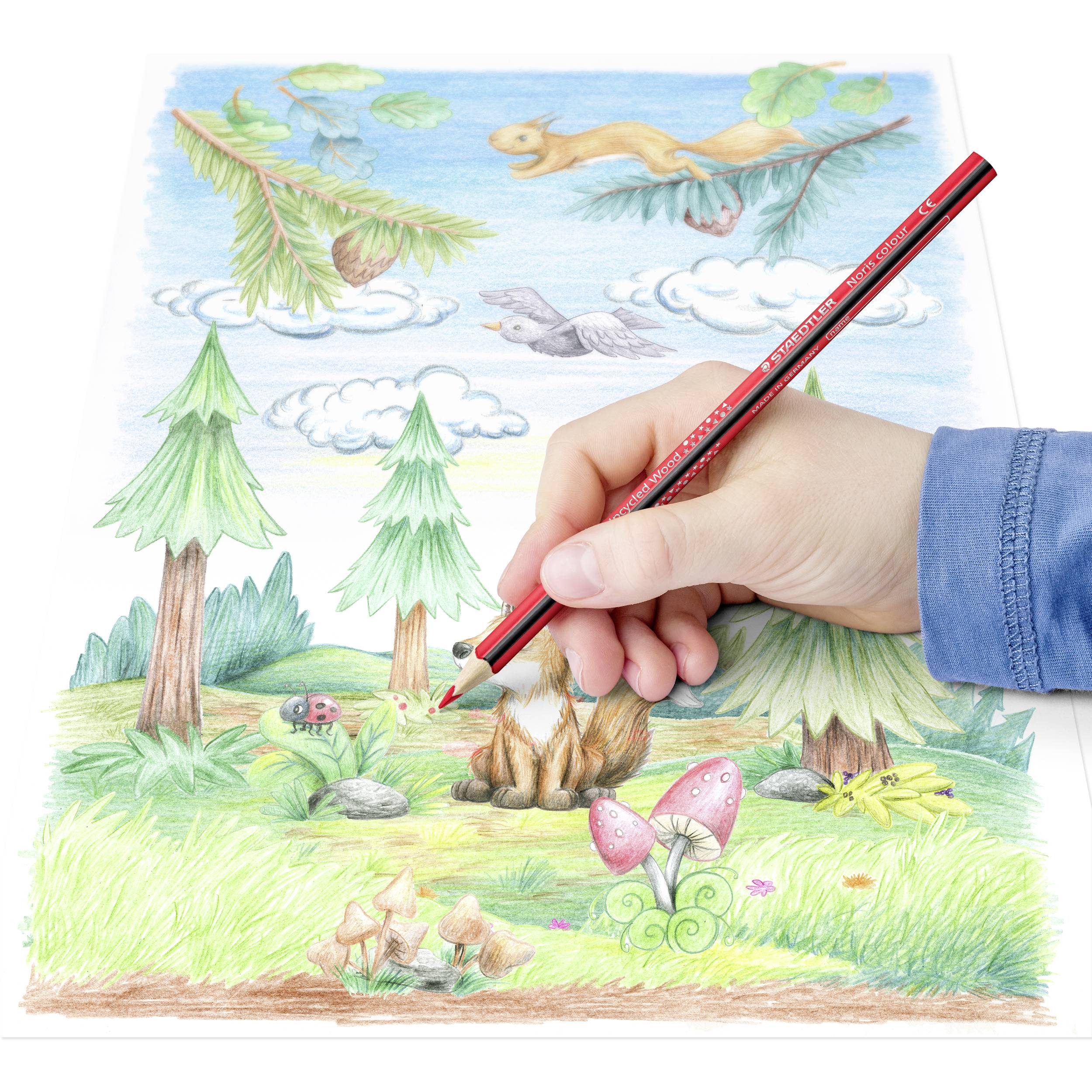 Eine Hand färbt ein Waldszenenbild mit Bäumen, Tieren und Pilzen mit einem roten Bleistift aus.