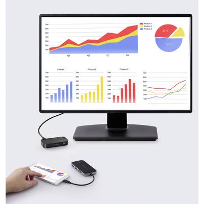 Ein Computermonitor zeigt Diagramme: ein Liniendiagramm, ein Kreisdiagramm und Balkendiagramme, die Verkaufsdaten für vier Quartale darstellen.
