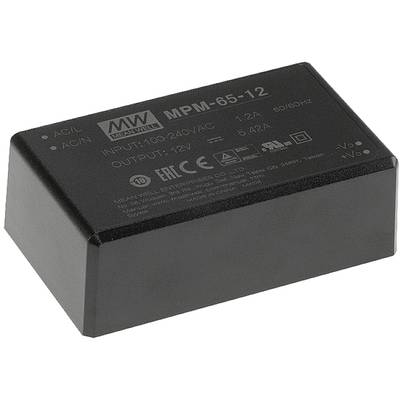 Schwarzes, rechteckiges Netzteil von Mean Well. Aufschrift zeigt: 'MPM-65-12', Eingang 100-240V, Ausgang 12V, 5,42A.