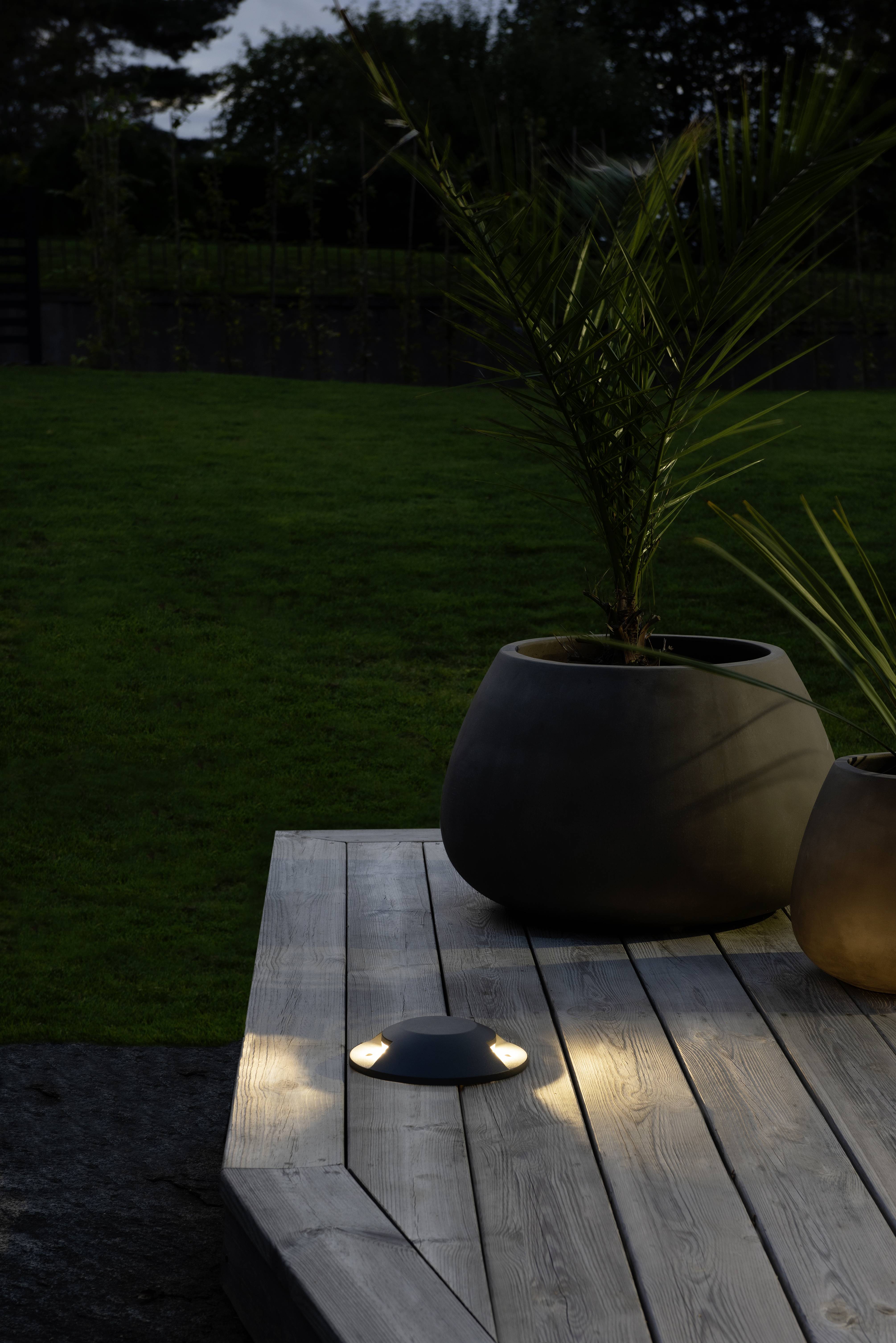 Der Garten zeigt eine Terrasse mit Holzboden, auf der zwei große Pflanzgefäße mit Palmen stehen. Beleuchtung am Boden betont Pflanzen.