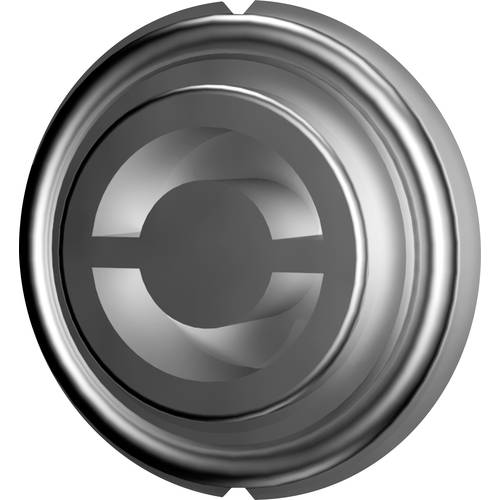 Rittal VX 8618.305 Verschlusseinsatz Daimler-Einsatz Zinkdruckguss 1 St.