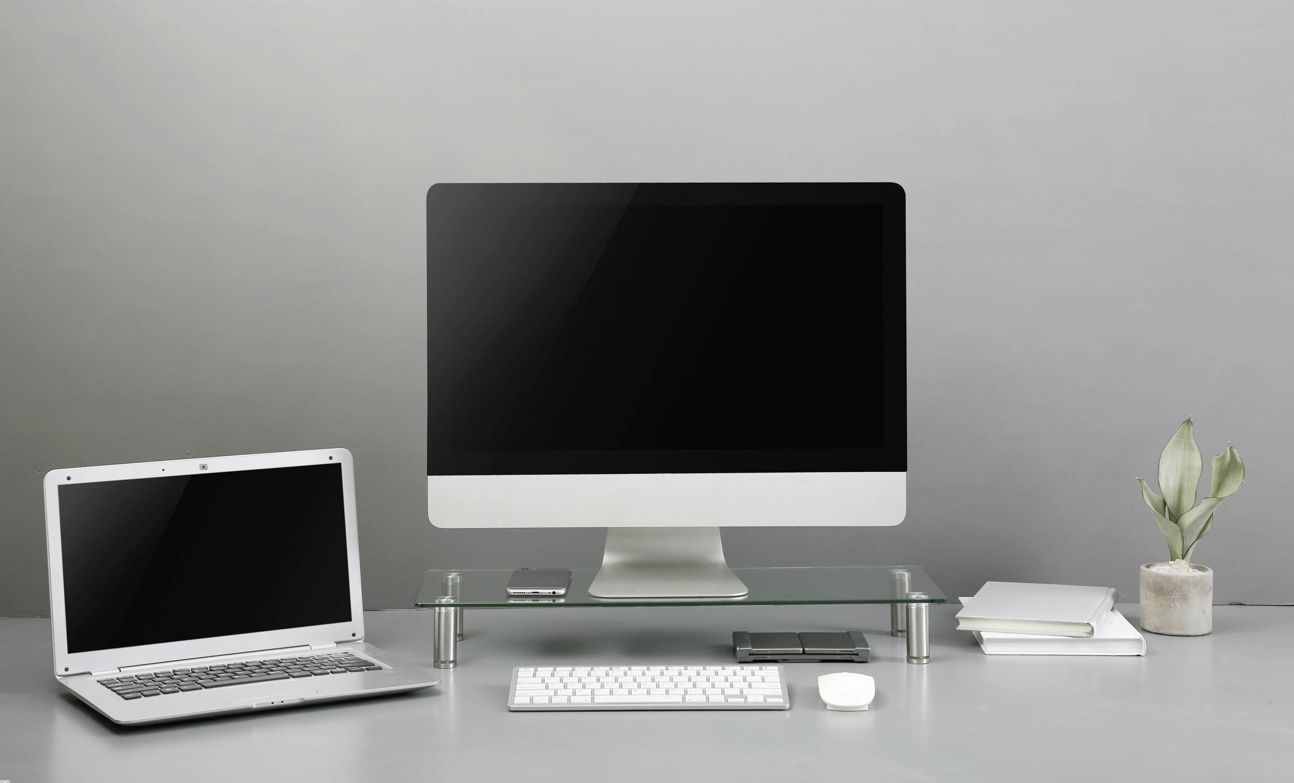 Ein aufgeräumter Schreibtisch mit einem großen Monitor, einer Tastatur, einer Maus, einem Laptop und einer kleinen Pflanze in einem Topf.