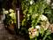 Eine moderne Gartenlampe leuchtet zwischen bunten Hortensien vor einem rustikalen Stein.