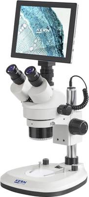 Stereomikroskop mit Bildschirm