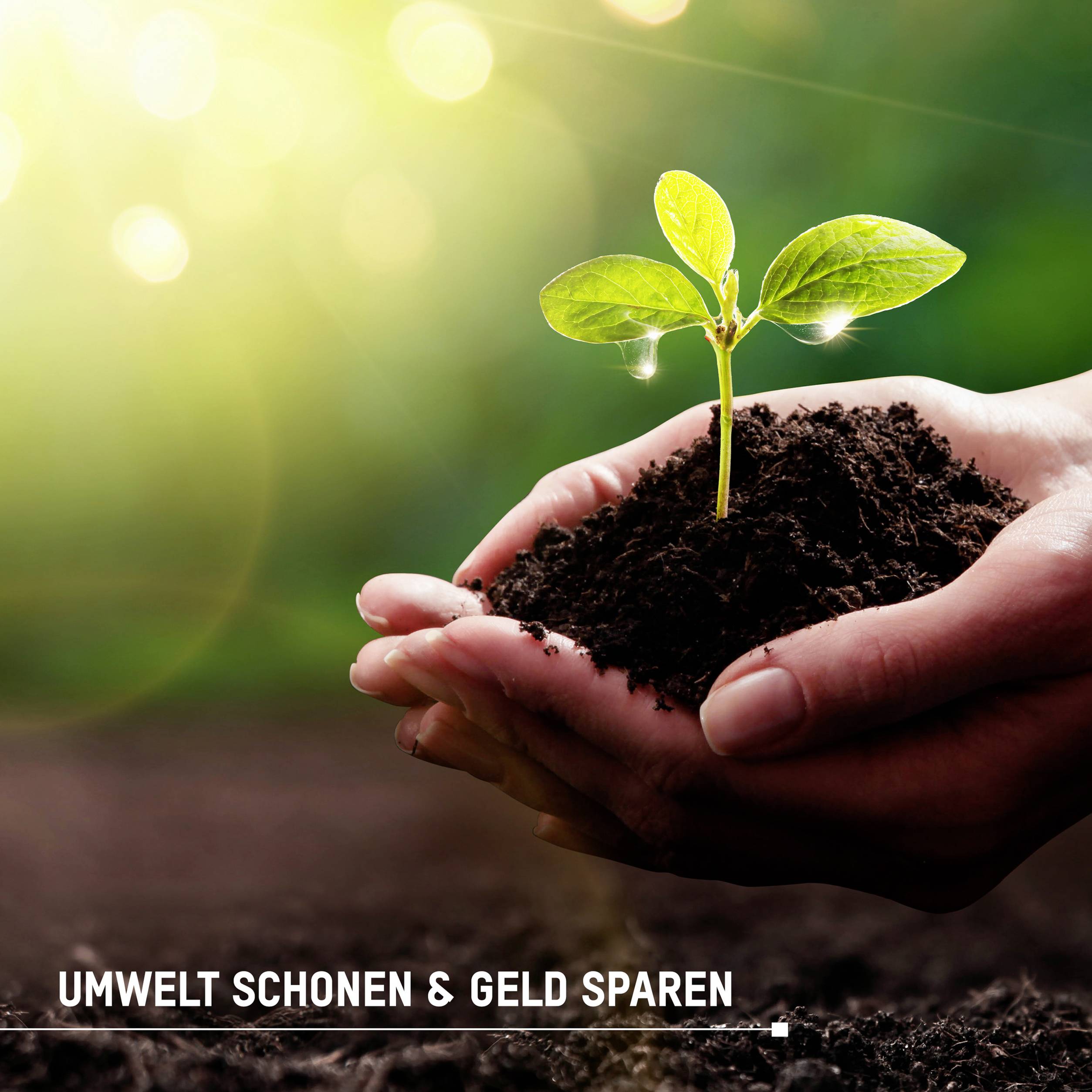 Eine Hand hält einen kleinen Sämling in Erde. Unten steht: 'Umwelt schonen & Geld sparen'.