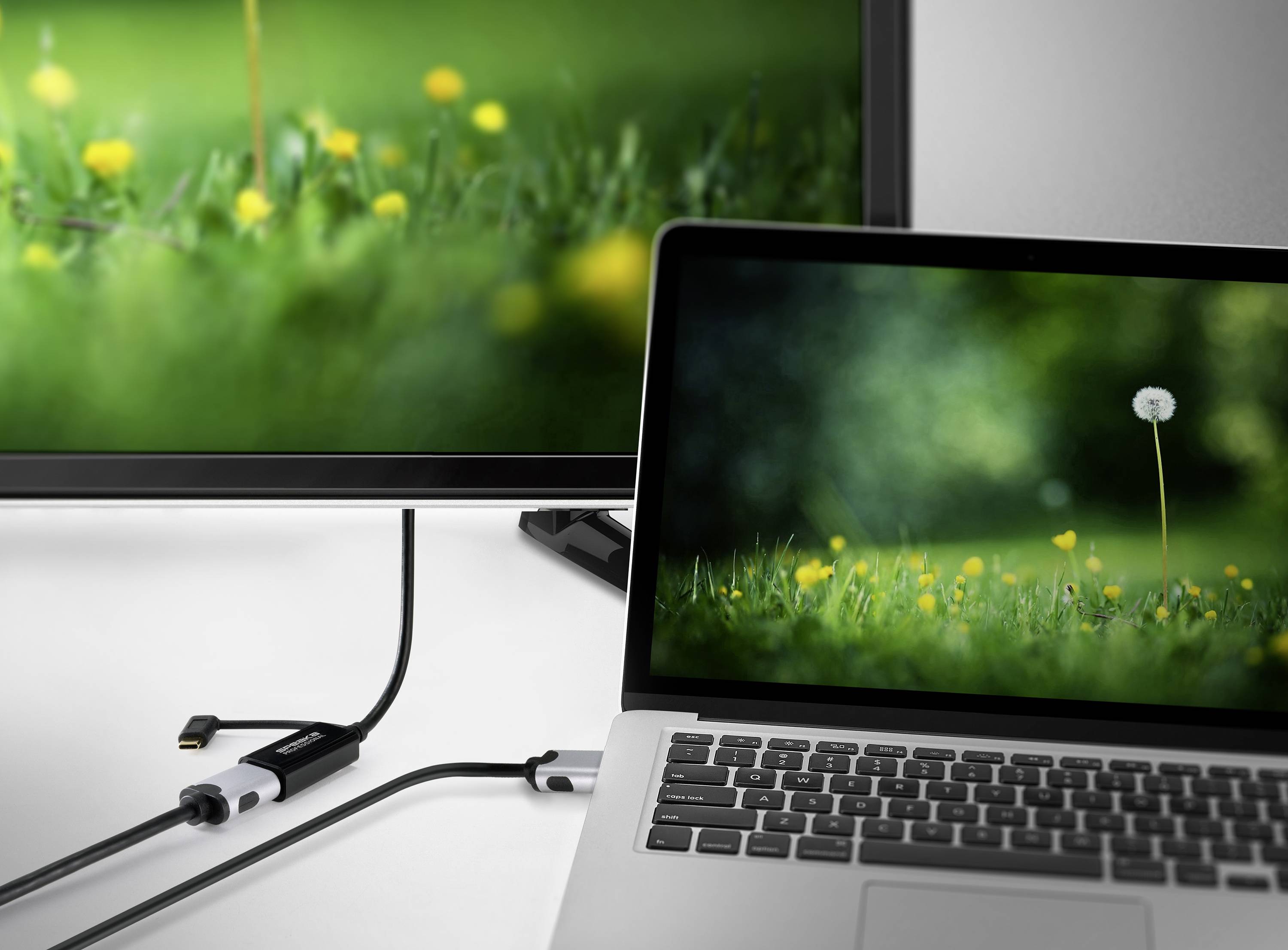 Ein Laptop ist über ein HDMI-Kabel mit einem Monitor verbunden. Beide Bildschirme zeigen ein ähnlich verschwommenes Bild von Gras und Blumen.