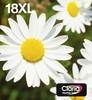 Epson Druckerpatrone 18XL Original Kombi-Pack Schwarz, Cyan, Magenta, Gelb C13T18164511