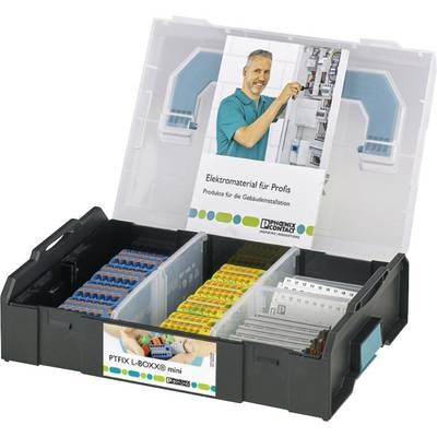 Geöffnete Werkzeugbox mit verschiedenen elektrischen Komponenten und Trennfächern. Mann auf der Verpackung arbeitet an einem Schaltschrank.