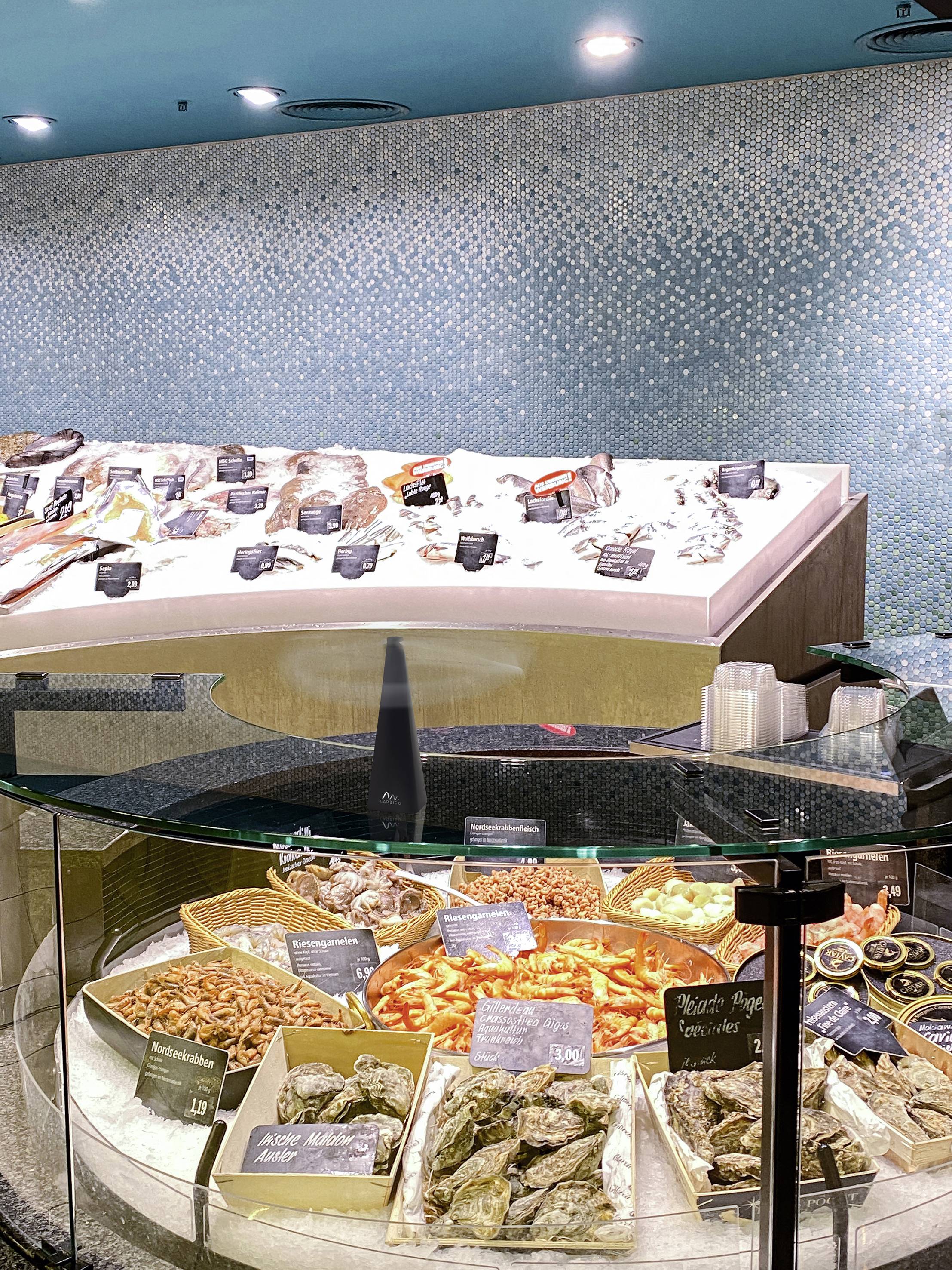 Fischtheke in einem Supermarkt mit verschiedenen Arten von Meeresfrüchten, darunter Schalen und Krustentiere, sorgfältig auf Eis angerichtet.