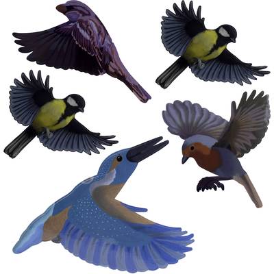 Gardigo Stickers Native Birds Fensteraufkleber Vogelbild Funktionsart Abschreckung  1 St.