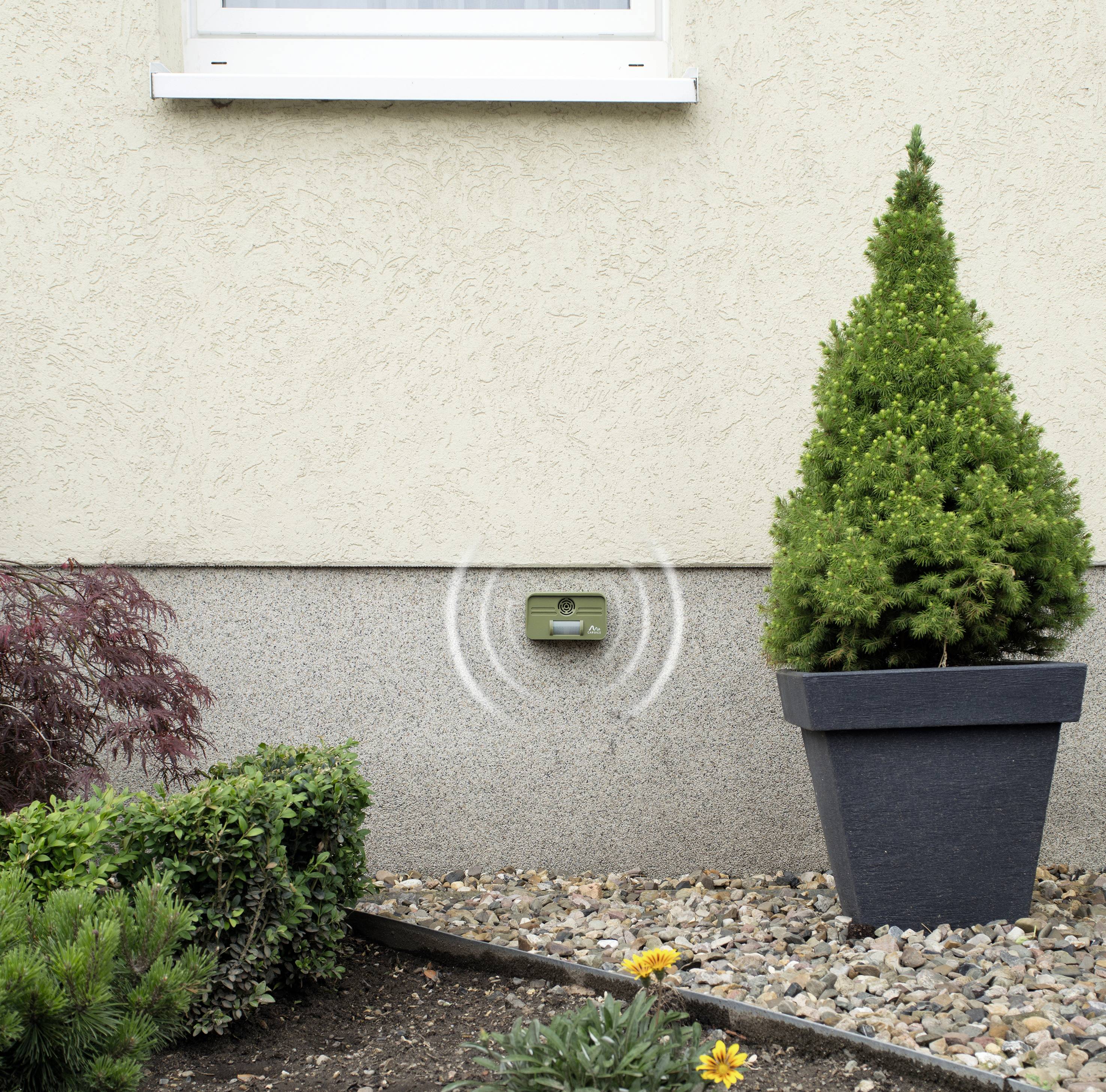 Ein digitaler Feuchtigkeitssensor zeigt Messwerte unter einem Fenster an einer Hauswand an, neben einer Zypresse in einem Pflanzkübel.