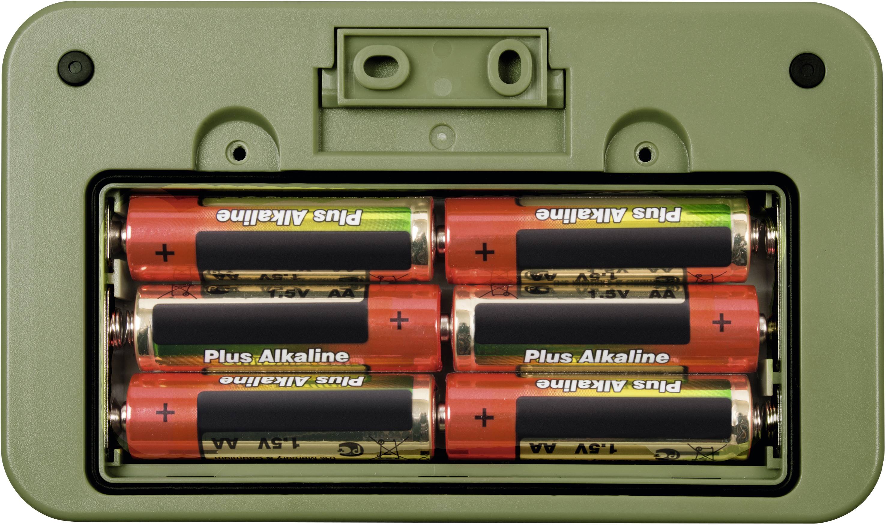 Sechs AA-Batterien in einem grünen Batteriefach eingelegt.