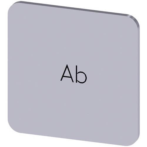 Thumbnail - Siemens 3SU1900-0AF81-0AE0 Bezeichnungsschild quadratisch (B x H) 22 mm x 22 mm Ab Silber, Schwarz 10 St.