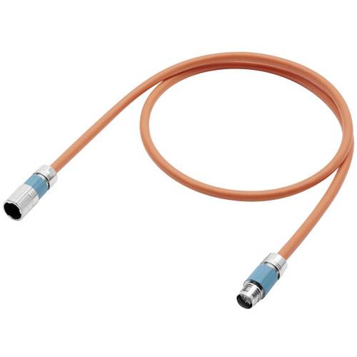 Siemens 6FX50028QE081FA0 Sensor-/Aktor-Anschlussleitung M17 SPEEDCON Stecker, gerade 50.00 m 1 St.