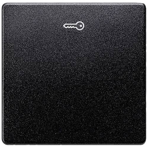 Siemens Schalterprogramm Wippe Delta Carbon 5TG6228 1 St.