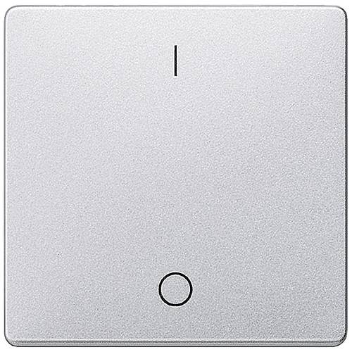 Siemens Schalterprogramm Wippe Delta Aluminium 5TG6242 1 St.