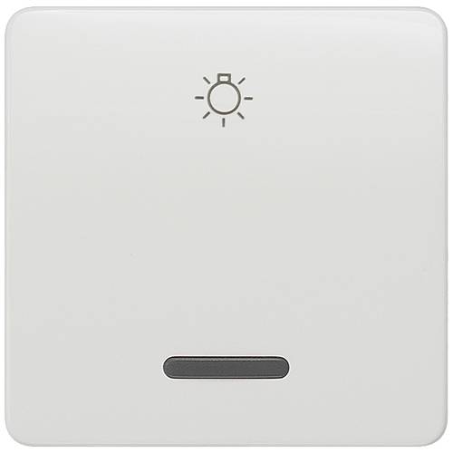 Siemens Schalterprogramm Wippe Delta Weiß 5TG7806 1 St.