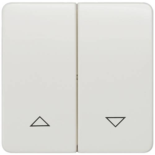 Siemens Schalterprogramm Wippe Delta Weiß 5TG7814 1 St.