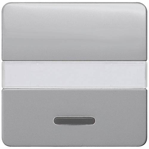 Siemens Schalterprogramm Wippe Delta Silber 5TG7935 1 St.