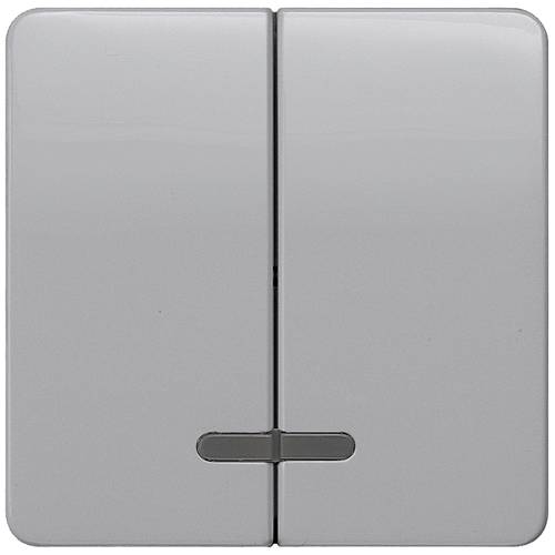 Siemens Schalterprogramm Wippe Delta Silber 5TG7938 1 St.