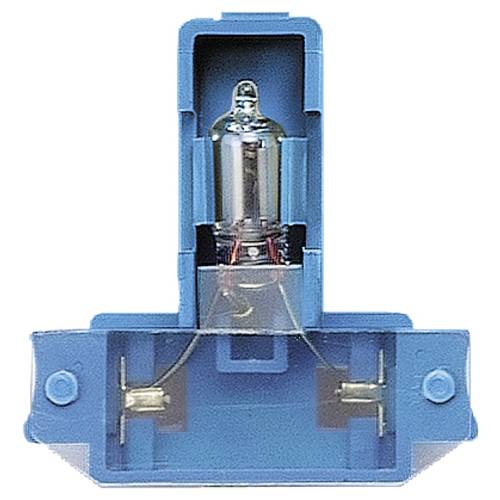 Siemens Schalterprogramm Glimmlampe Delta 5TG7301 1 St.