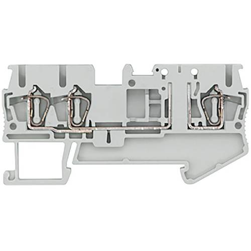 Siemens 8WH20036AF00 Trennklemme Federzuganschluss Grau 50 St.