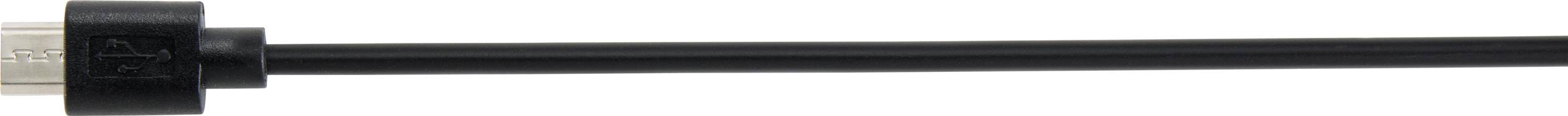 Ein schwarzes Kabel mit einem rechteckigen Steckerende auf der linken Seite.