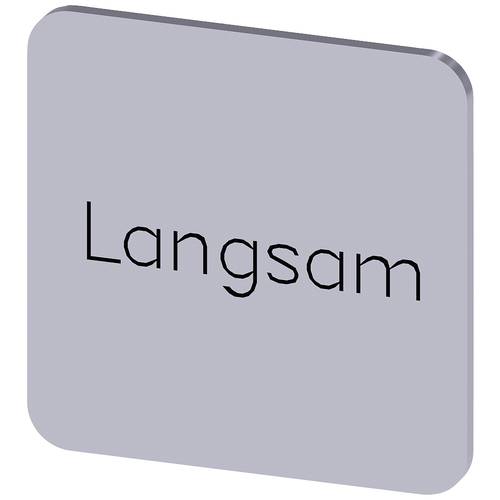 Siemens 3SU1900-0AF81-0AN0 3SU19000AF810AN0 Bezeichnungsschild quadratisch (B x H) 22 mm x 22 mm Langsam Silber, Schwarz...