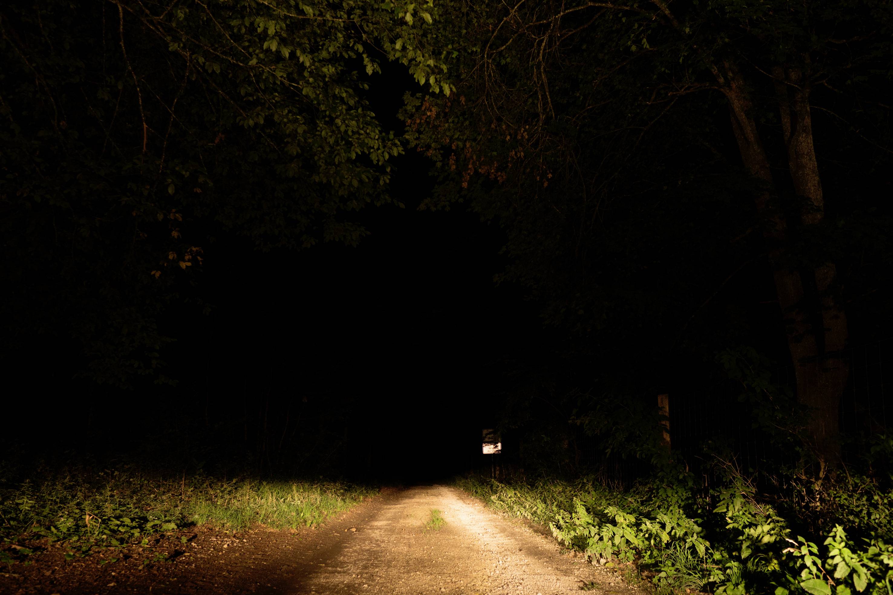 Ein schmaler, unbefestigter Pfad durch einen dunklen Wald, beleuchtet von Scheinwerfern, endet in völliger Dunkelheit.