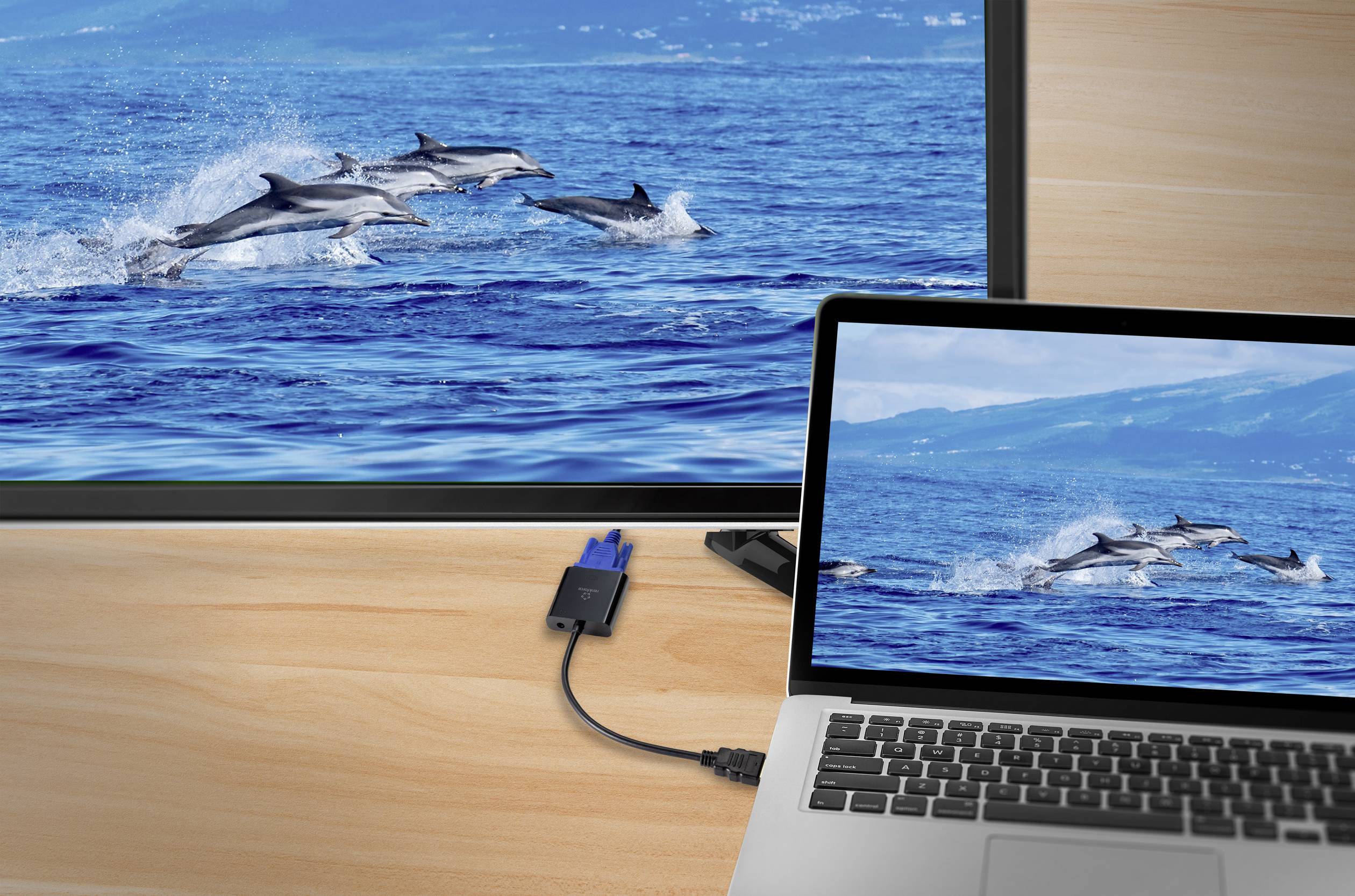 'Ein Laptop ist mit einem größeren Monitor verbunden; beide Bildschirme zeigen ein Bild von springenden Delfinen im Meer.'