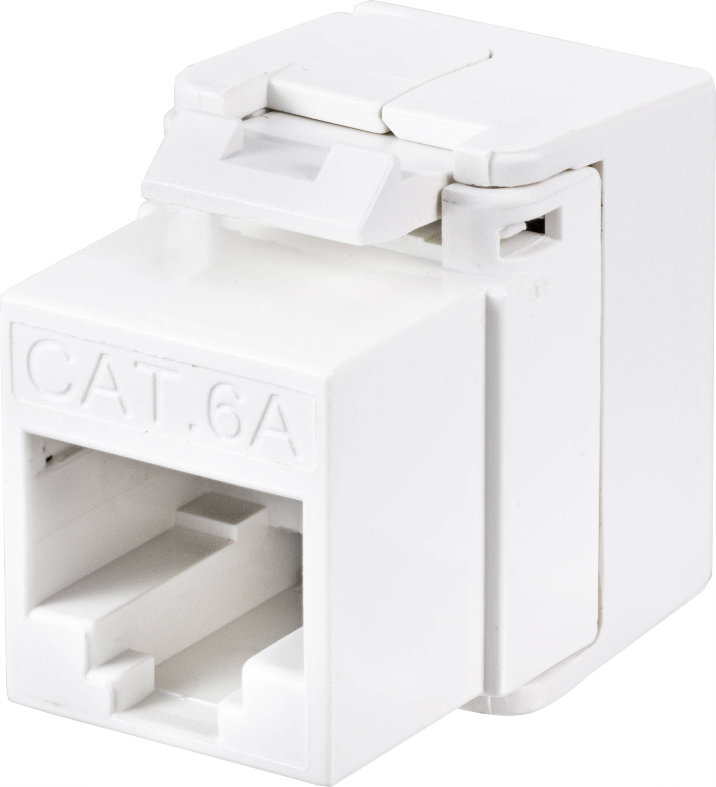 CONRAD Renkforce Netzwerk Adapter UTP 500 MHz Keystone CAT 6a