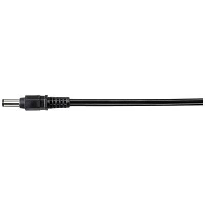 Ein schwarzes Audiokabel mit einem Stecker auf der linken Seite, es verläuft horizontal.