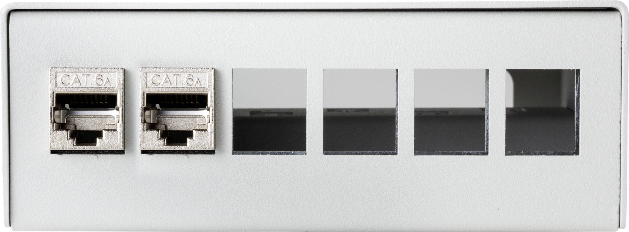 Zwei Ethernet-Ports links, Code 'CAT 6A', und vier leere Ports rechts auf einer silbernen Gerätefront.