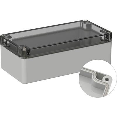 Eine graue, rechteckige Plastikbox mit transparentem Deckel. Ein kleiner Einsatz zeigt eine Nahaufnahme der Ecke der Box.