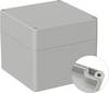 TRU COMPONENTS TC-9065656 Industrie-Gehäuse 122 x 120 x 105 ABS Lichtgrau (RAL 7035) 1 St.