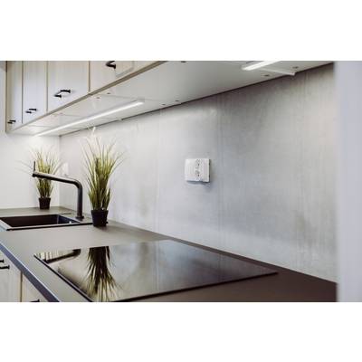 Moderne Küchenzeile mit schwarzer Arbeitsplatte, zwei Induktionskochfeldern und zwei kleinen Topfpflanzen. Elegante Wanddekoration.