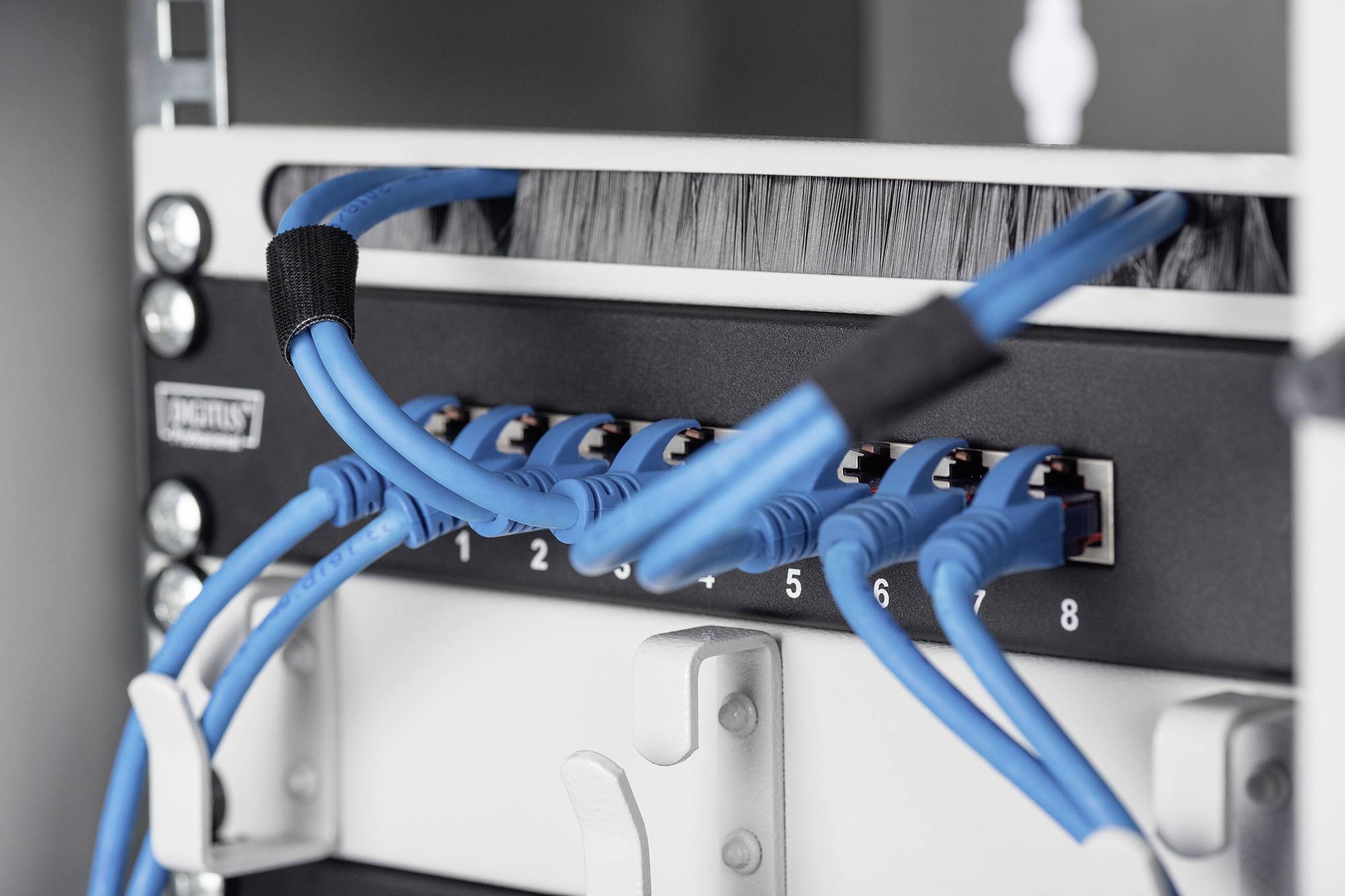 'Ein Netzwerk-Switch mit acht blauen Ethernet-Kabeln, die in die nummerierten Ports eingesteckt sind. Kabelmanagement ist zu sehen.'