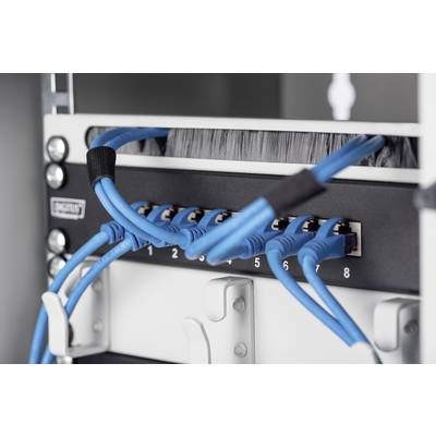 'Ein Netzwerk-Switch mit acht blauen Ethernet-Kabeln, die in die nummerierten Ports eingesteckt sind. Kabelmanagement ist zu sehen.'