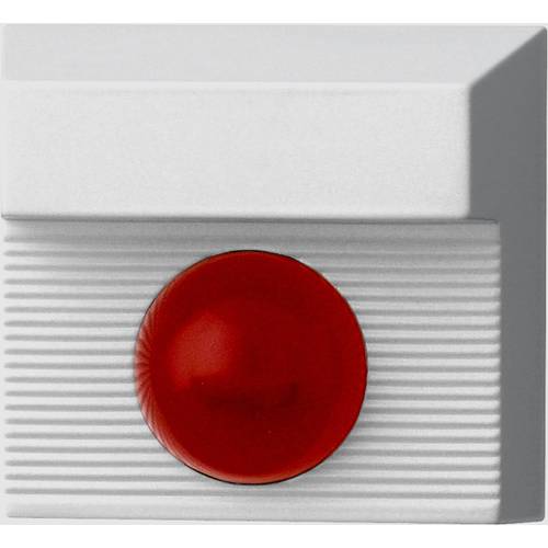 PENTATECH 33166 LED-Anzeige mit Summer 70 dB Innenbereich