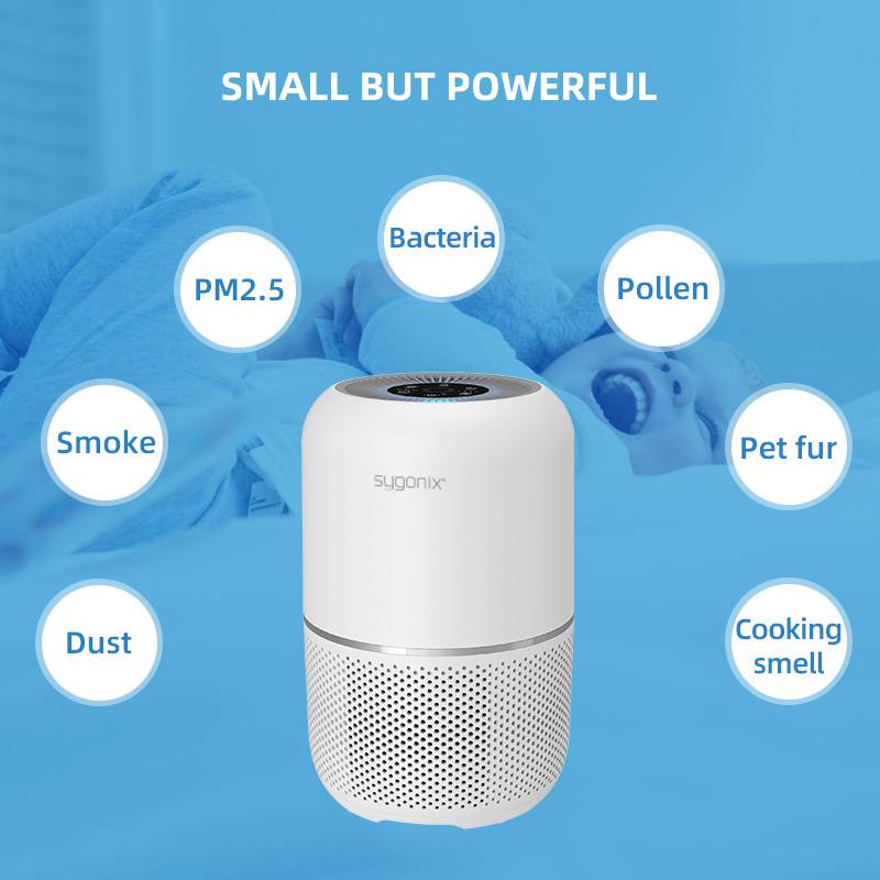 Ein Luftreiniger steht im Vordergrund. Um ihn herum sind Blasen mit Texten: 'PM2.5', 'Bacteria', 'Pollen', 'Smoke', 'Pet fur', 'Dust', 'Cooking smell'. Im Hintergrund schläft ein Kind.
