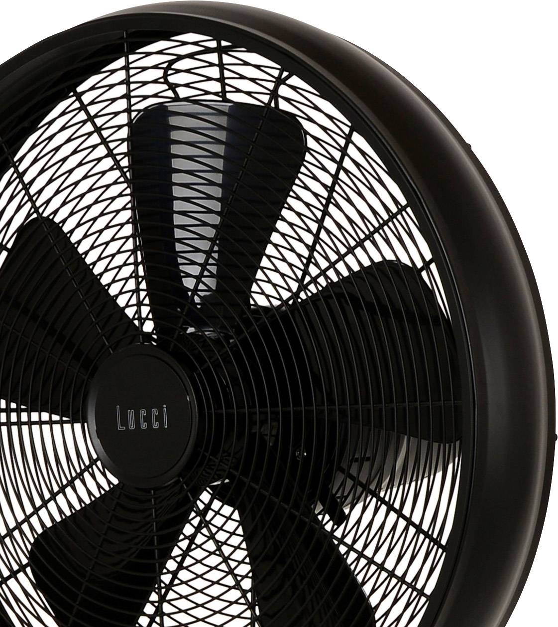 Ein schwarzer Standventilator mit Schutzgitter und fünf Flügeln, sorgt für Luftzirkulation. Marke 'Lucci' auf der Front sichtbar.