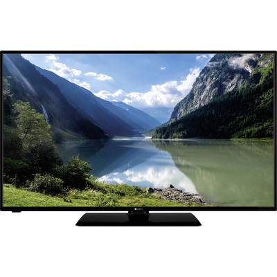 NABO 55 ST6600 LED-TV 140 cm 55 Zoll EEK G (A - G) Smart TV, UHD, WLAN Schwarz 