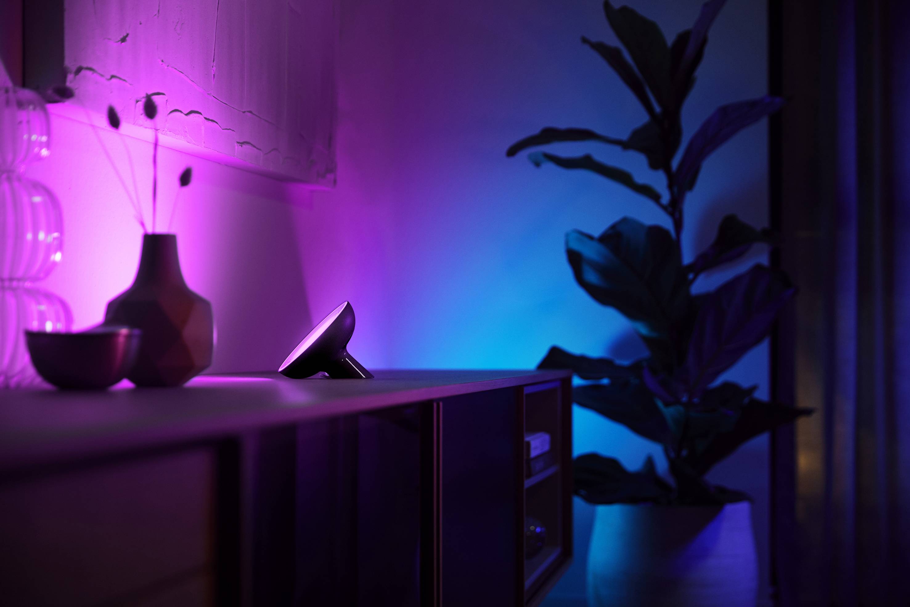 Ein modernes Wohnambiente mit indirekter Beleuchtung: violettes Licht beleuchtet ein Regal mit Dekoration, blaue Akzente im Hintergrund.