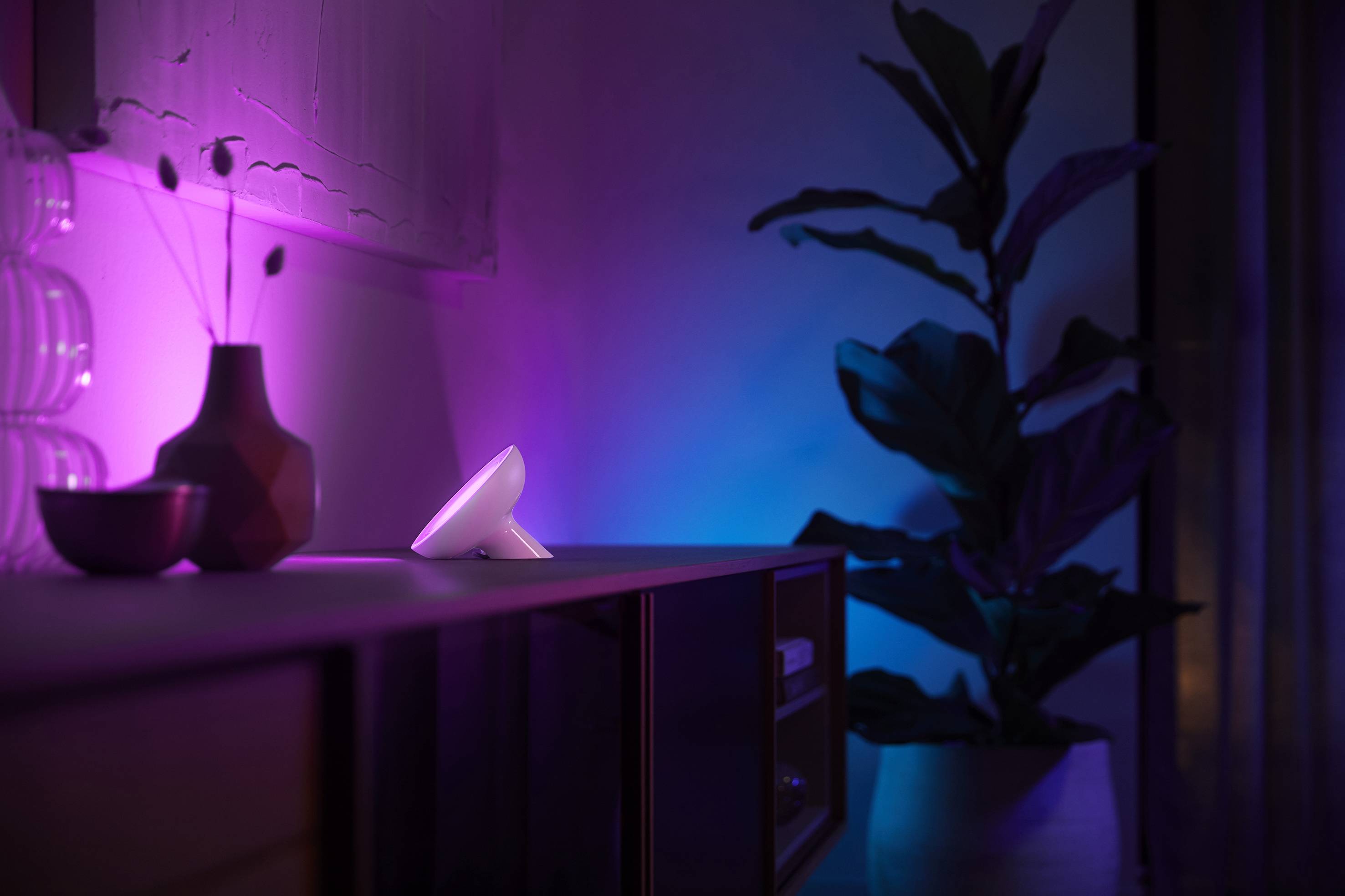 Tischlampe wirft lila Licht auf Sideboard mit Vasen daneben. Im Hintergrund steht eine Pflanze, erleuchtet von blauem Licht.