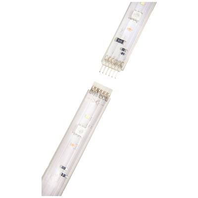 Zwei LED-Leuchten mit klaren Abdeckungen, die elektronische Bauteile und Anschlüsse sichtbar machen.