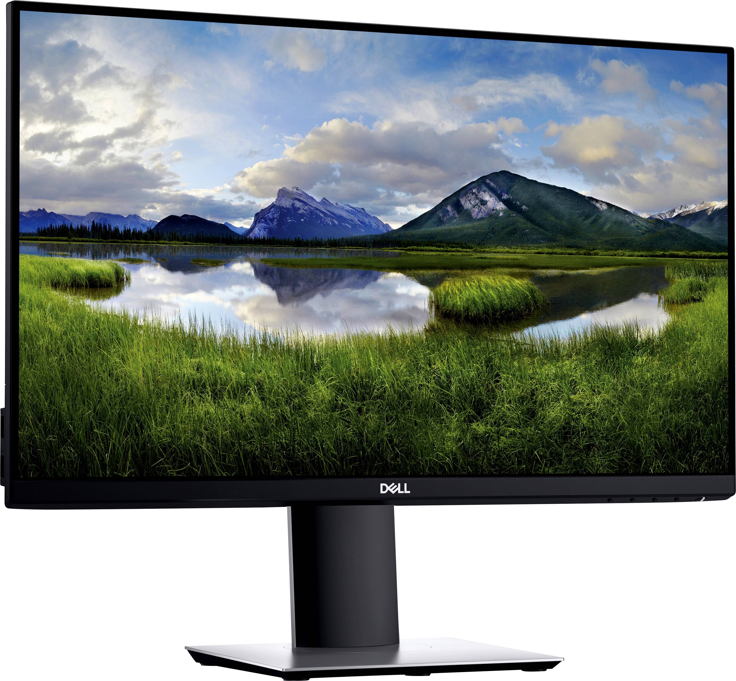 Dell P2421D - LED-Monitor - 60.45 cm (23.8") (23.8" sichtbar)-5