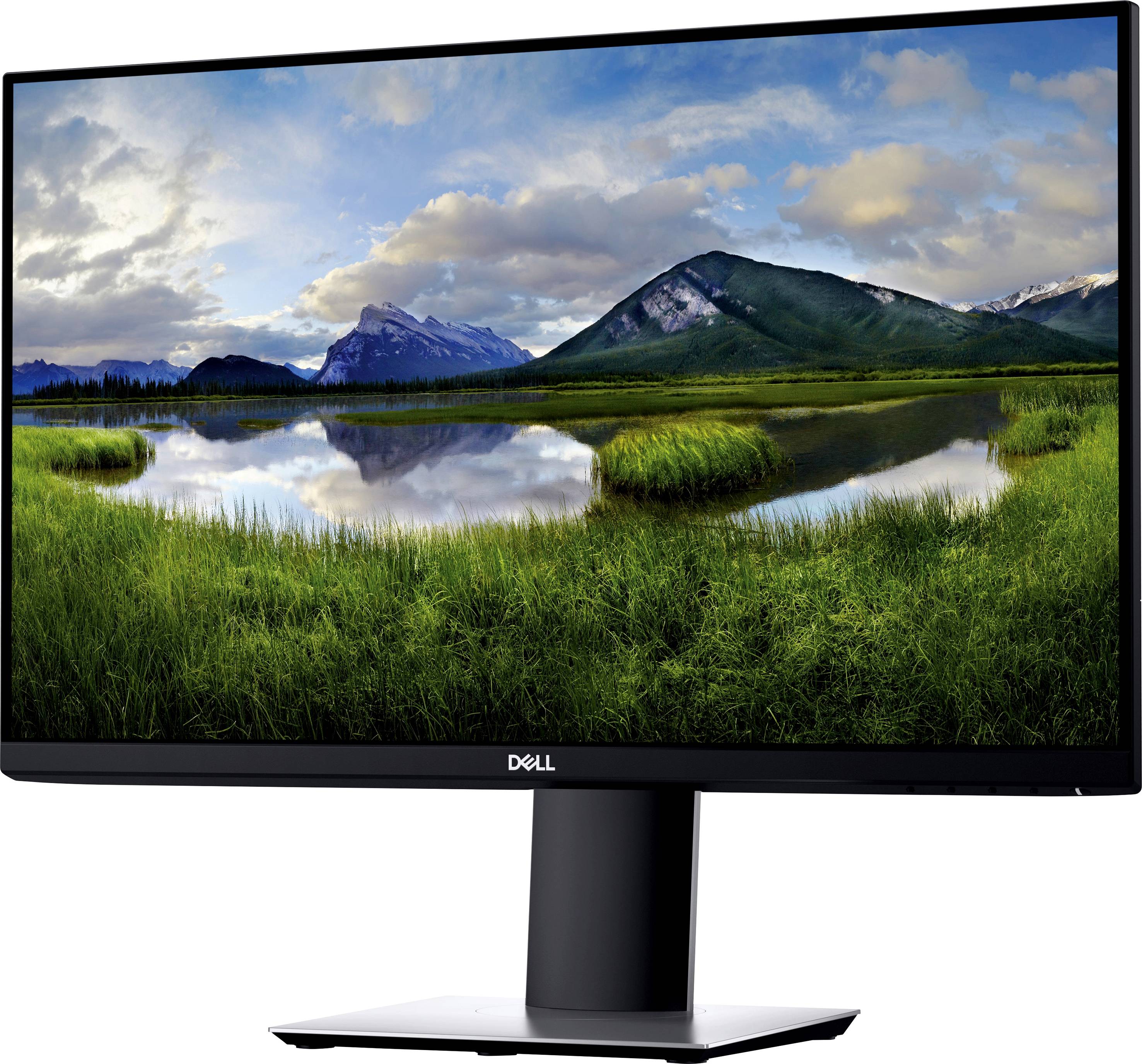 Dell P2421D - LED-Monitor - 60.45 cm (23.8") (23.8" sichtbar)-6