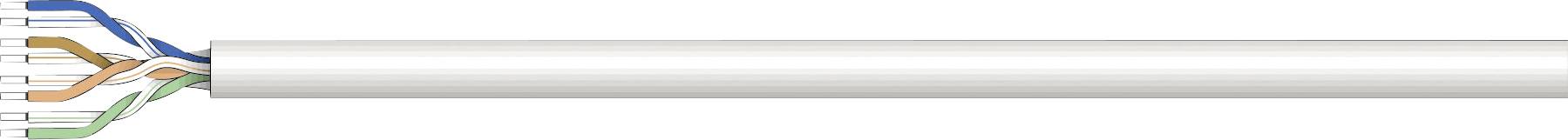 Ein aufgeschnittener Netzwerk- oder Ethernet-Kabel zeigt verschiedene bunte Drähte.