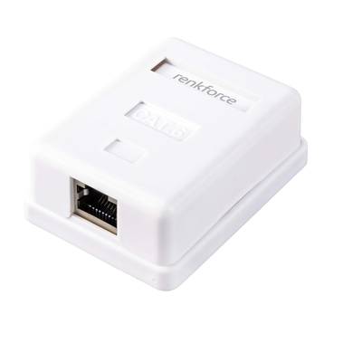 Ein weißer Adapter mit Ethernet-Anschluss und der Aufschrift 'renkforce' und 'CAT.6' auf der Oberseite.