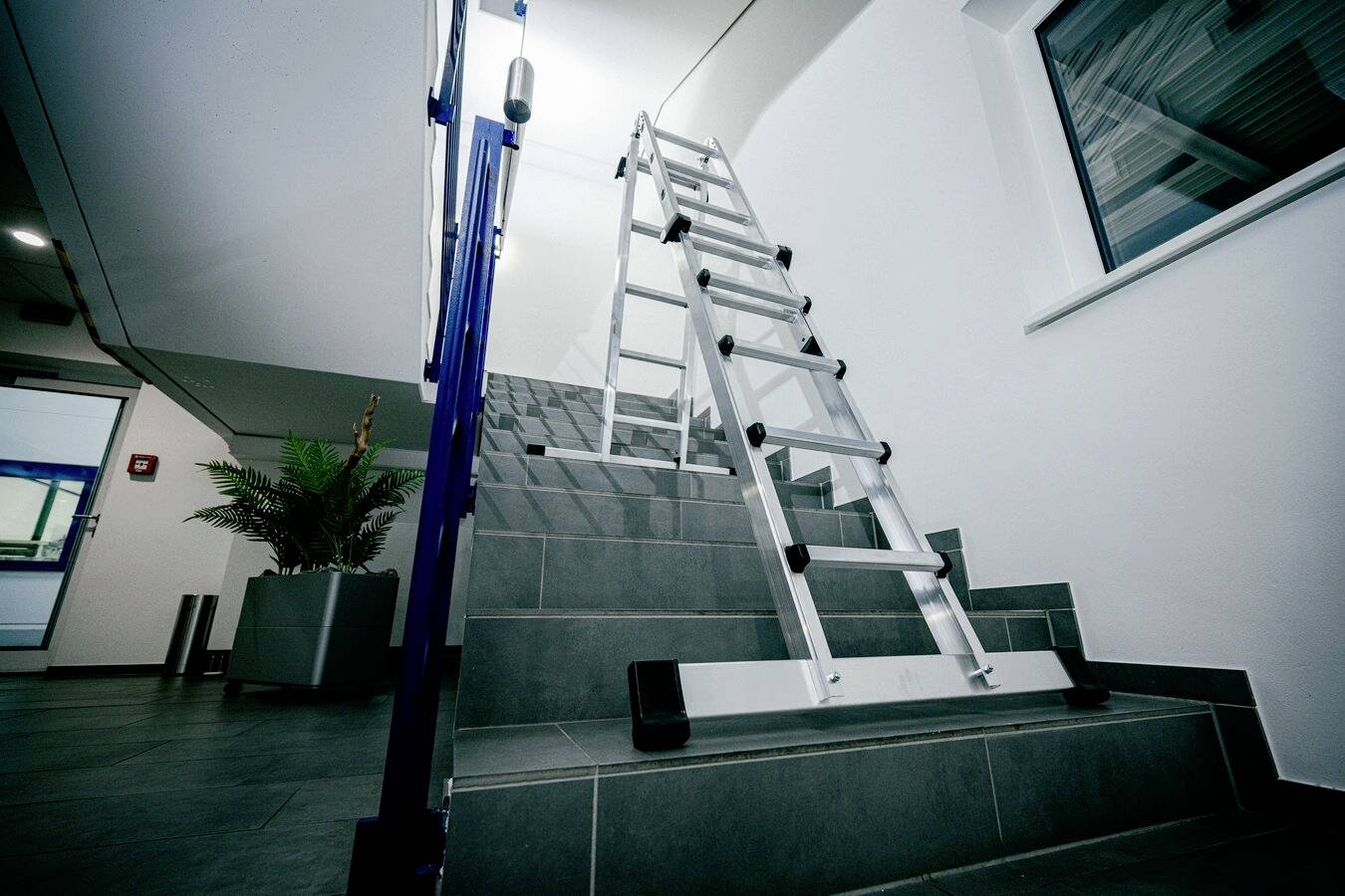 'Eine Leiter steht schräg auf einer Treppe in einem modernen Gebäude, mit grauen Fliesen und einer Pflanze links im Hintergrund.'